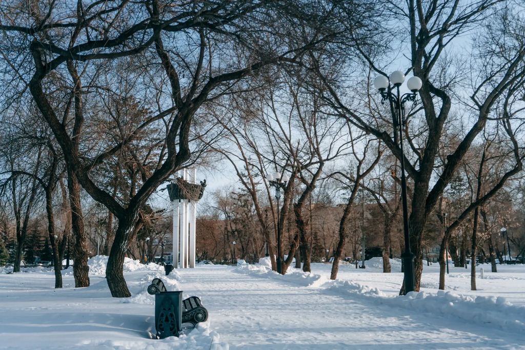 День защитника Отечества в выставочном комплексе «Салют, Победа!»